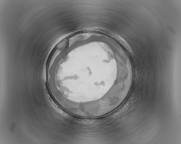 X0000112101036200909011120