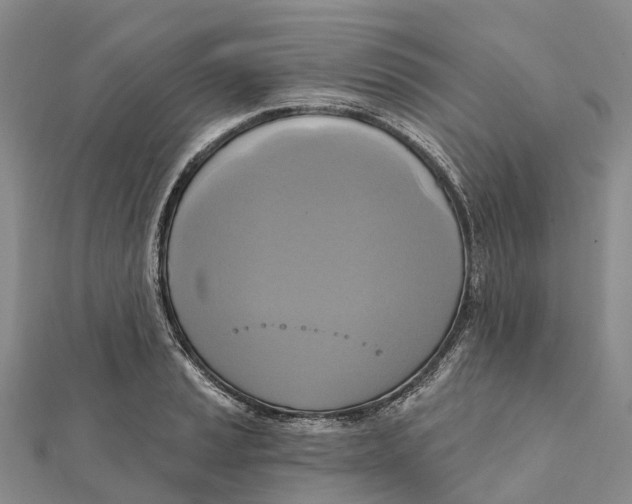 X0000112101037200909011120