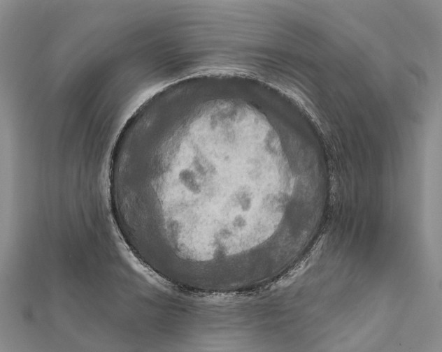 X0000112101038200909011120