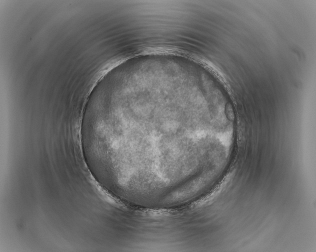 X0000112101041200909011120