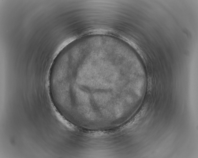 X0000112101042200909011120