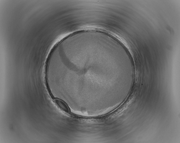 X0000112101045200909011120