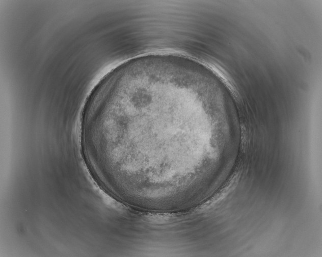X0000112101046200909011120