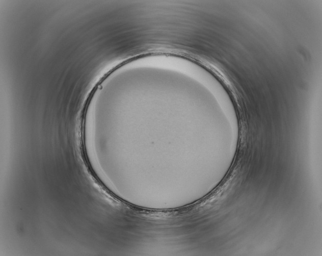 X0000112101048200909011120