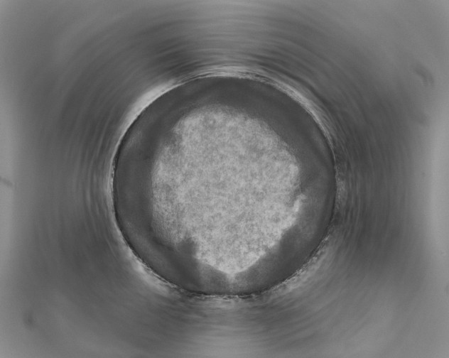 X0000112101050200909011120