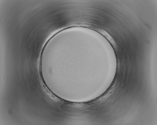 X0000112101052200909011121