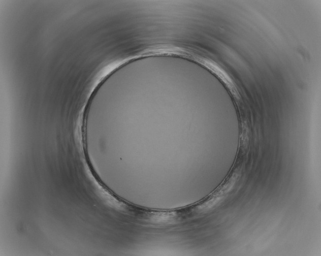 X0000112101055200909011121
