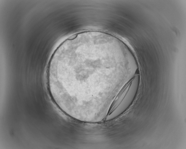 X0000112101056200909011121