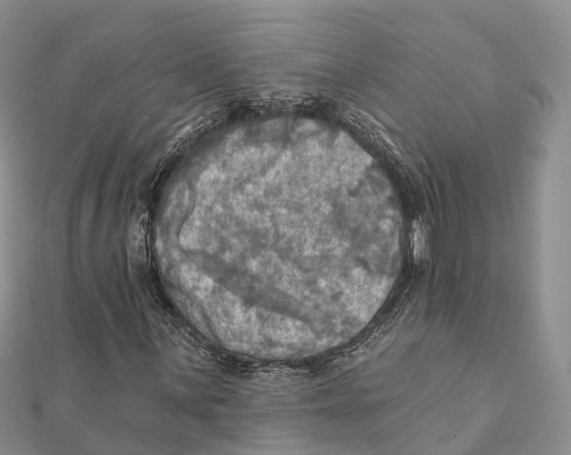 X0000112101059200909011120