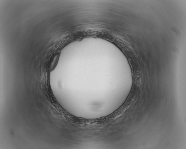 X0000112101061200909011120