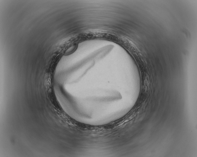 X0000112101062200909011120