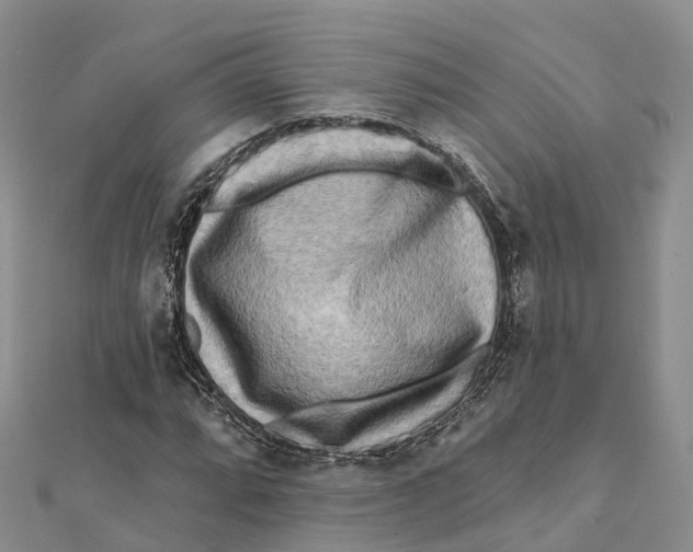 X0000112101064200909011120