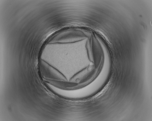 X0000112101065200909011120