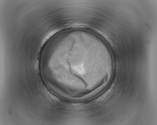 X0000112101066200909011120