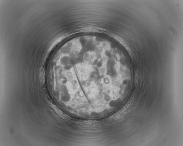 X0000112101067200909011120