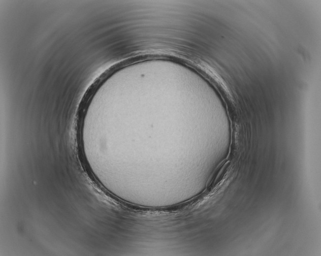 X0000112101068200909011120