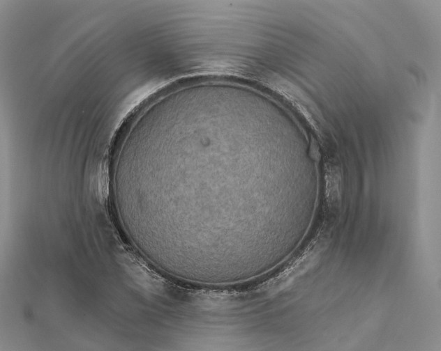 X0000112101069200909011120