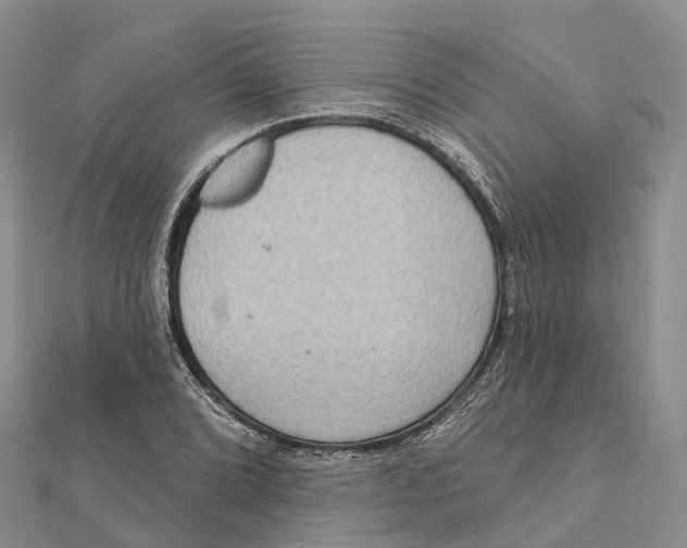 X0000112101072200909011120