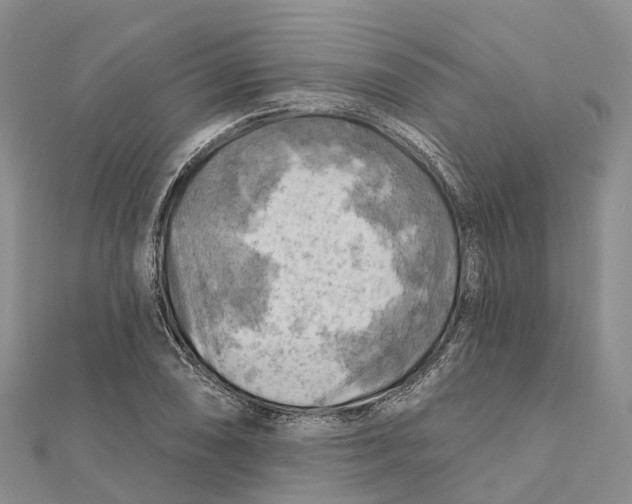 X0000112101074200909011120