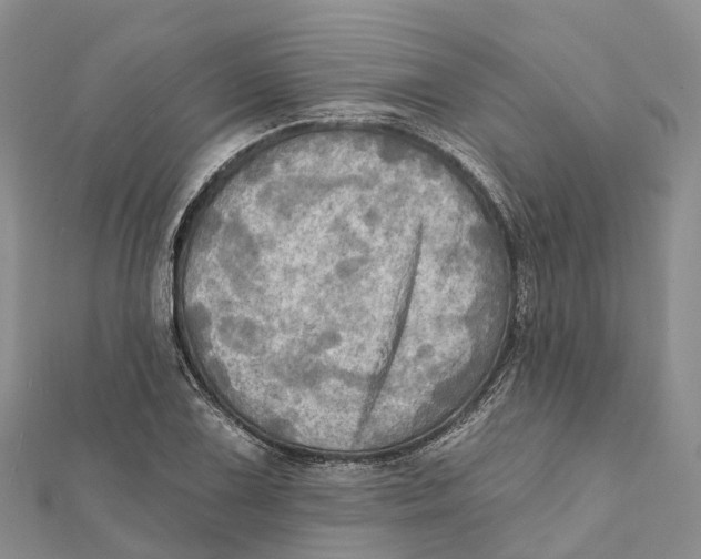 X0000112101075200909011120