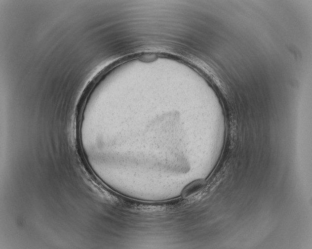 X0000112101076200909011120