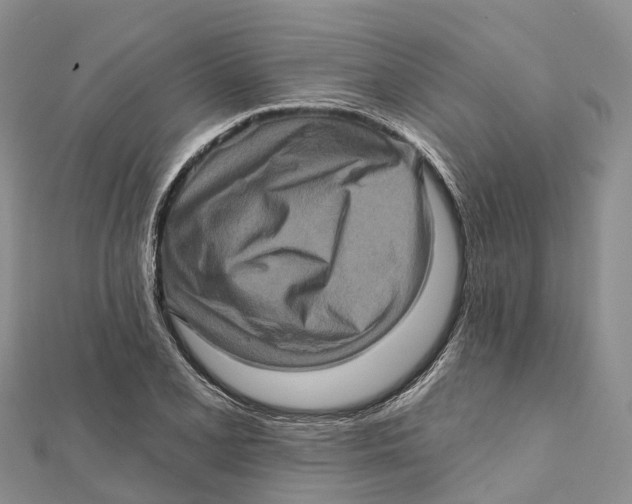 X0000112101077200909011120