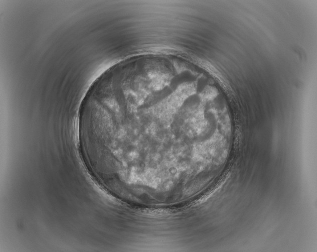 X0000112101079200909011119