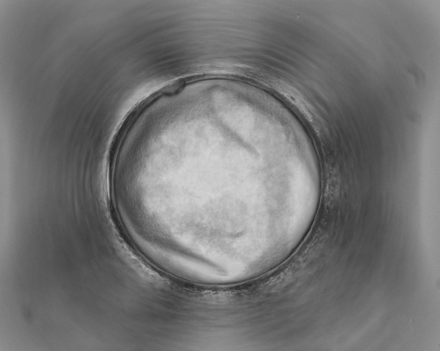 X0000112101080200909011119