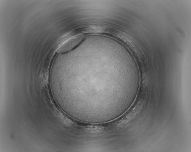 X0000112101081200909011119