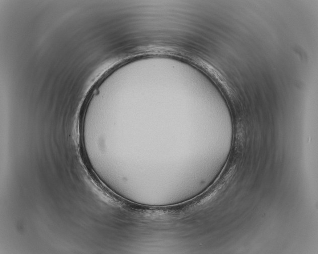 X0000112101082200909011119