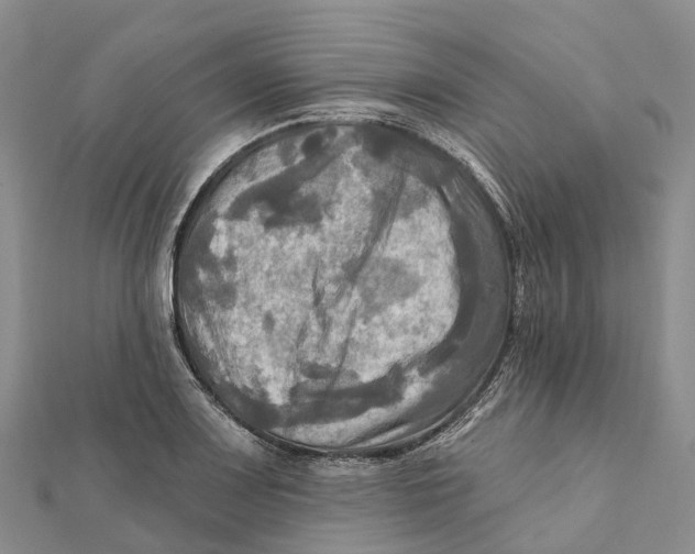 X0000112101083200909011119