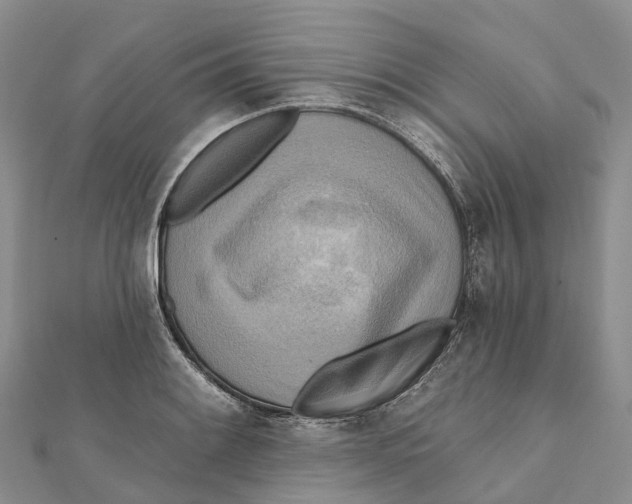 X0000112101084200909011119