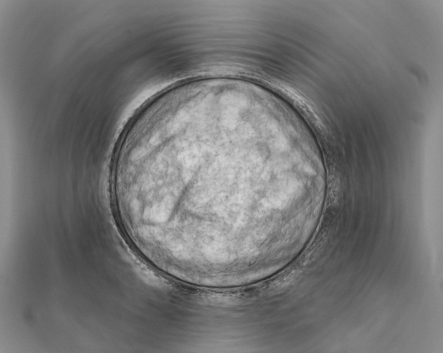 X0000112101086200909011119