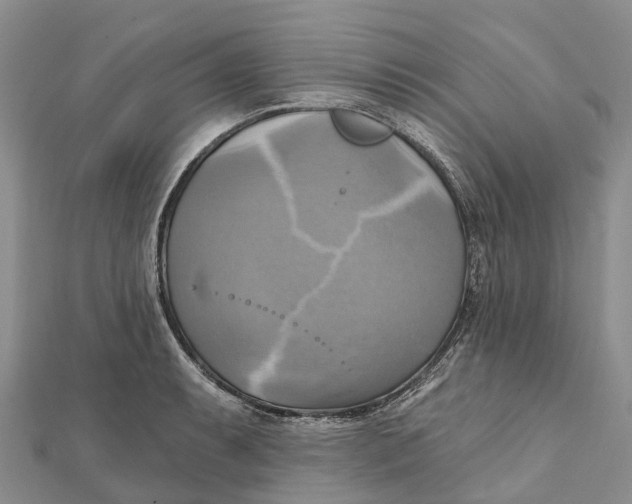 X0000112101087200909011119
