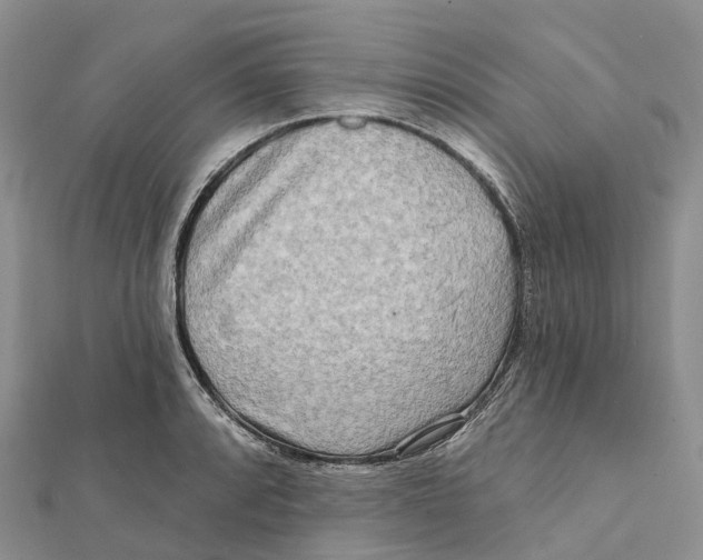 X0000112101088200909011119