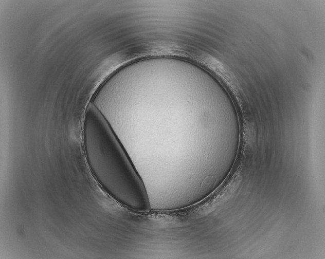 X0000112101089200909011119