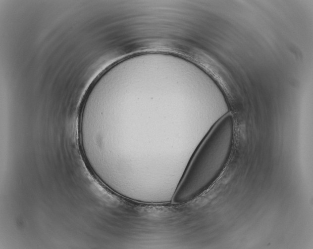 X0000112101092200909011119