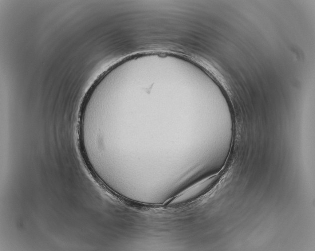 X0000112101093200909011119