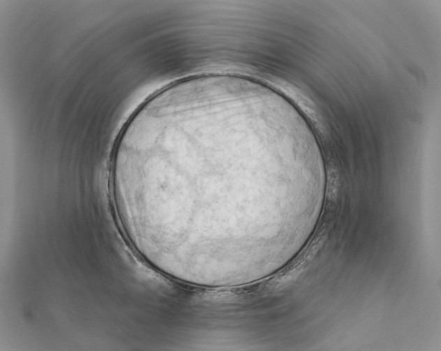 X0000112101094200909011119