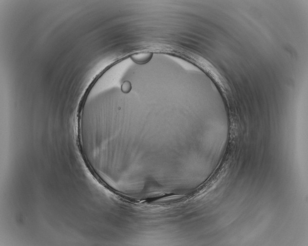 X0000112101095200909011119