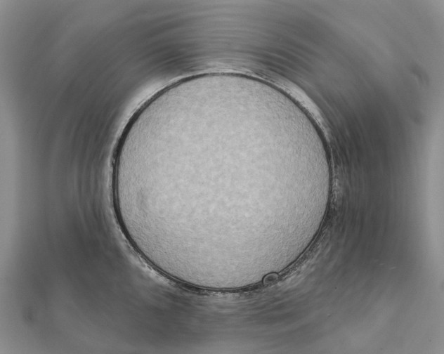 X0000112101096200909011119
