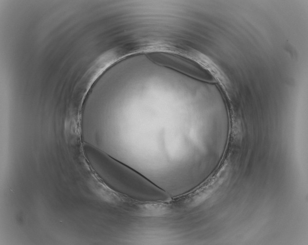 X0000112101097200909011119