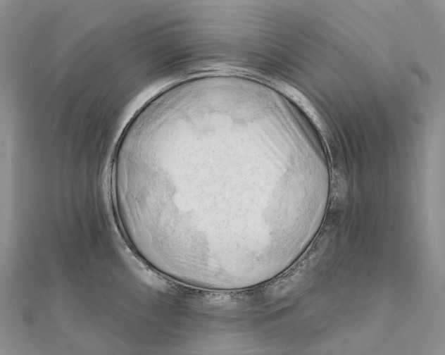 X0000112101098200909011119