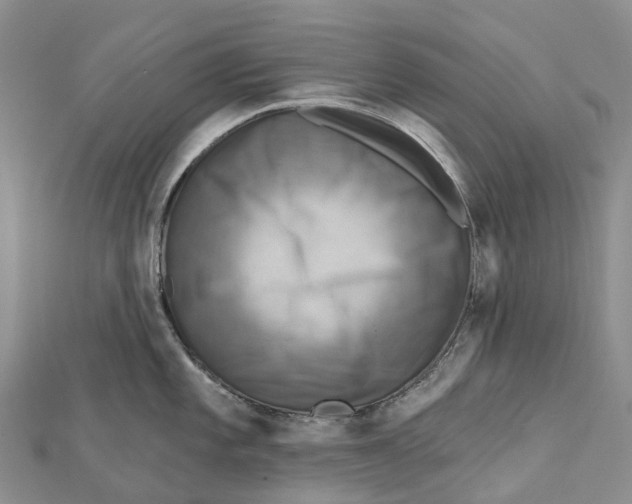 X0000112101101200909011119