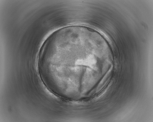 X0000112101102200909011119