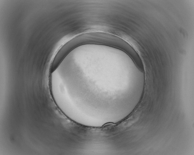 X0000112101104200909011119