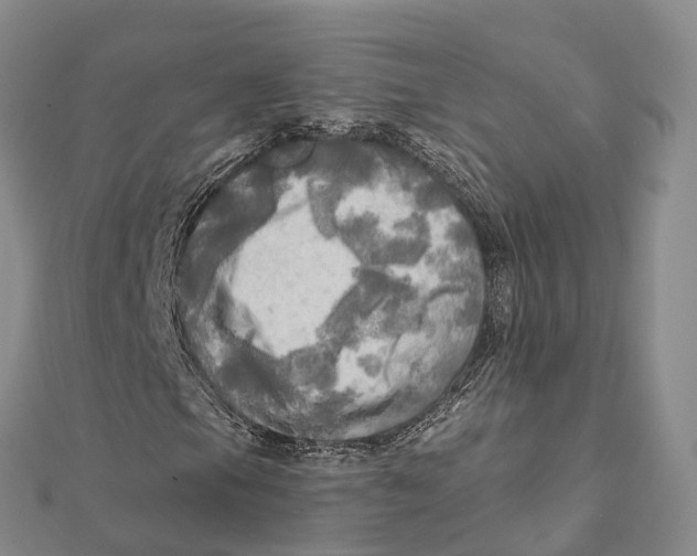 X0000112101105200909011119