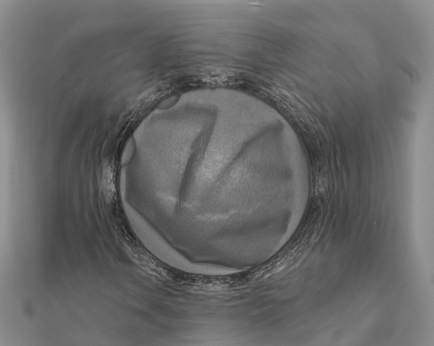 X0000112101106200909011119