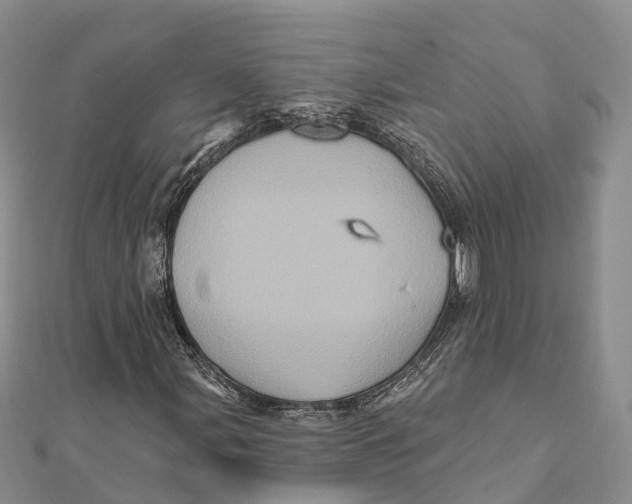 X0000112101107200909011119