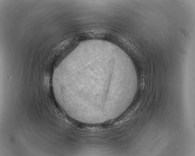X0000112101108200909011119